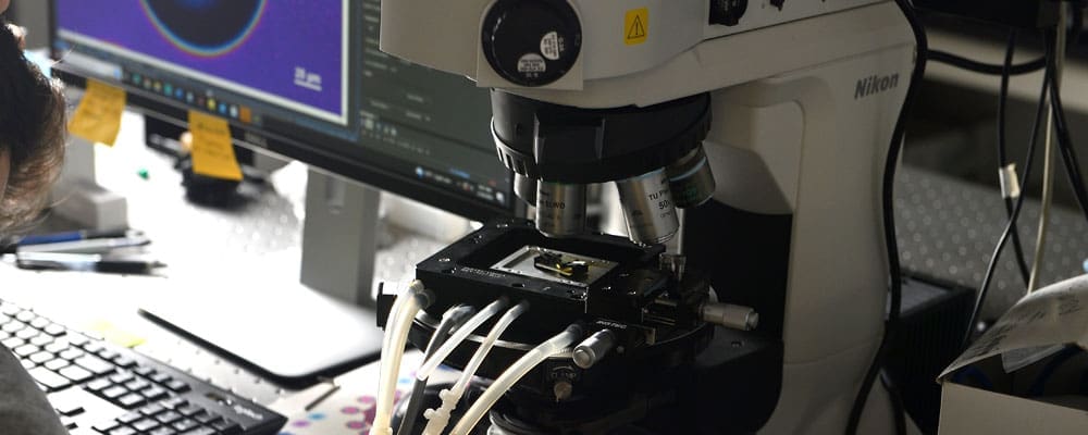 Lab equipment next to a computer.